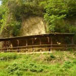 Affioramento paleontologico attrezzato